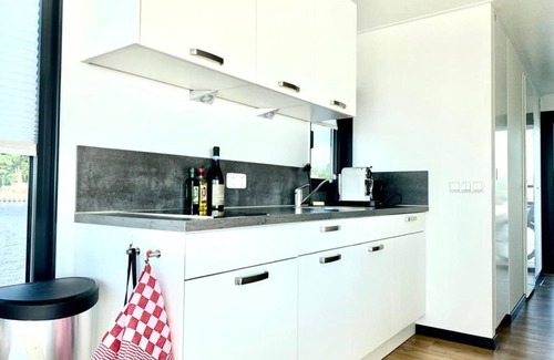 Offingawier Boat Rental | Discover a Modern Houseboat with Terrace in Offingawier