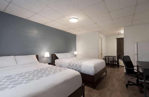 Grande Prairie Hotel | Pet-Friendly Retreat at Howard Johnson by Wyndham Grande Prairie