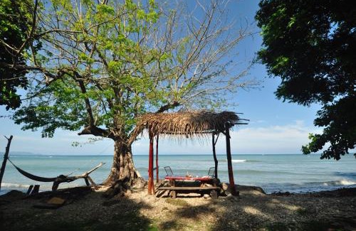 Cabuya Hotel | Discover Howler Monkey Hotel: Oceanfront Retreat Awaits