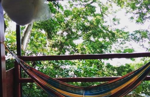 Boca Chica Hostel | Cozy Howlers Bay Cabin: Pet & Child Friendly Retreat
