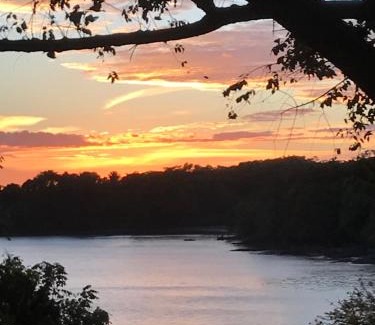 Boca Chica Hostel | Cozy Howlers Bay Cabin: Pet & Child Friendly Retreat