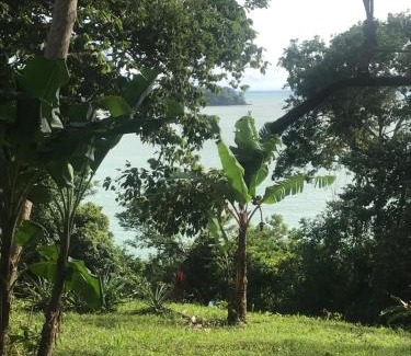 Boca Chica Hostel | Cozy Howlers Bay Cabin: Pet & Child Friendly Retreat