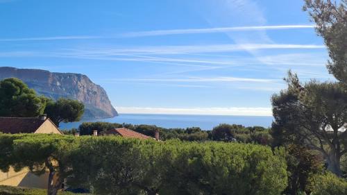 Cassis Hotel | Experience HPC Suites: Pool, Ocean View & Award-Winning Stay