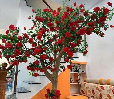 Van Giang Apartment | HT homestay ocp3
