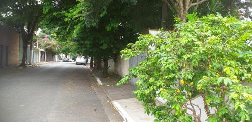 Sao Paulo House | Discover Urban Nature with Family-Friendly Amenities