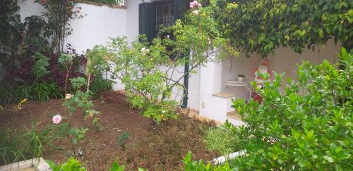 Sao Paulo House | Discover Urban Nature with Family-Friendly Amenities