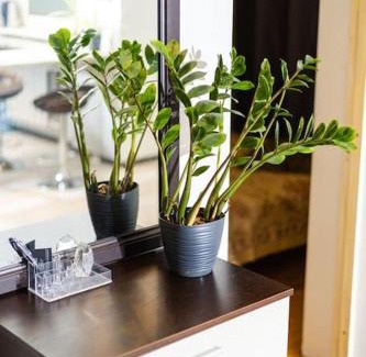 Jarve Apartment | Inviting Hubane Korter Järvel - Pet & Child Friendly Stay