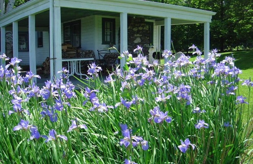 Chatham Cottage | Tranquil Berkshires Hudson Valley View Cottage Retreat