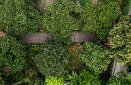 Hue House | HueNam Residence: Pet-Friendly Haven with Breakfast & More