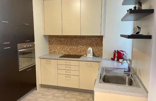 Karlovy Vary Apartment | Spacious Two-Floor Apartment on Park Colonnade with Free Parking