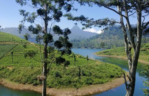 Nallathanniya House | Pet-Friendly Retreat: Hugging Clouds with Family Amenities