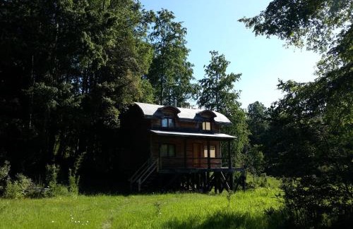 Neltume Cabin | Explore Huilo Huilo Cabañas del Bosque: Family-Friendly Retreat