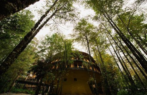 Neltume Cabin | Experience Huilo Huilo Reino Fungi with Hot Tub & Breakfast