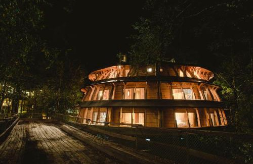 Neltume Cabin | Experience Huilo Huilo Reino Fungi with Hot Tub & Breakfast