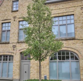 Nieuwpoort House | Huis Langestraat 52