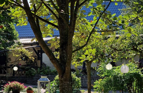 Dreischor Apartment | Family-Friendly Getaway at Huize Dijkwater