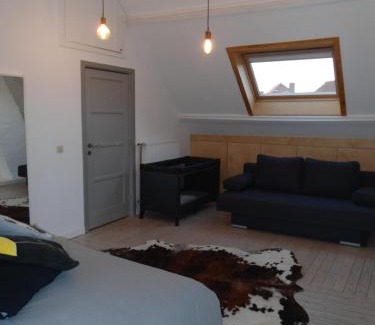 Sint-Andries House | Top-Rated Huize Hertog: Family-Friendly & Accessible Retreat