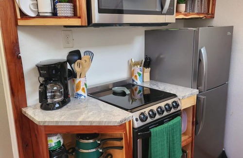 Cayuga Cabin | Lakefront Hummingbird Cottage with Family & Pet Amenities