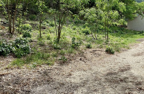 Concan Cabin | Inviting Hunter's Ridge Cabins with Pool & Spa Amenities