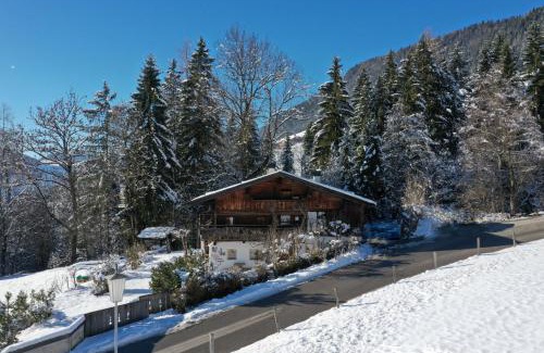 Alpbach Villa | Hunters Lodge Chalet Superior