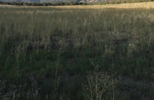 Redvale Cabin | Hunting Cabin Public Land Unit 70, Dry Creek Basin