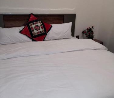 Hunza Apartment | Hunza Karim abad