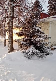 Kalajoki House | Idyllic Retreat at Huone Seesteisessä Mummolassa