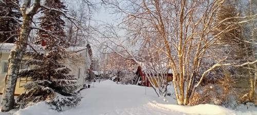 Kalajoki House | Idyllic Retreat at Huone Seesteisessä Mummolassa