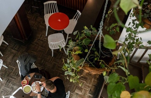 Ghent Apartment | Discover 'The Jungle' Studio in Vibrant Ghent