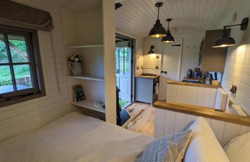 New Forest District Apartment | Enchanting Hut in the Forest: Your Serene Escape Awaits