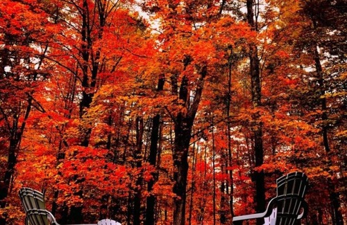 Barton Cabin | Cozy Hut on the Hill for Family and Pet-Friendly Retreat
