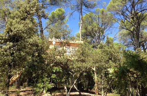 Barjols Cabin | Treehouse Retreat with Private Pool and Breakfast Included