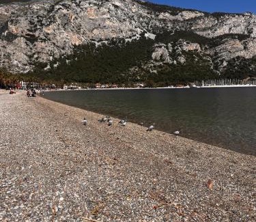 Milas Villa | Huzur ve mavi deniz