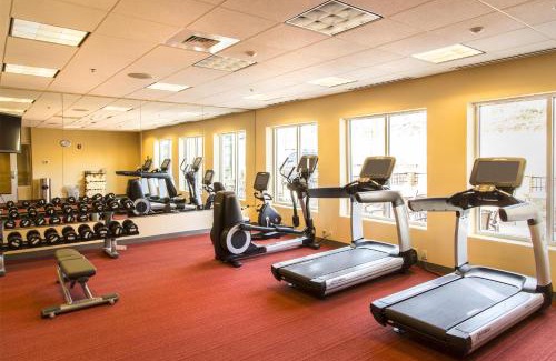 Charlottesville Hotel | Pet-Friendly Retreat at Hyatt Place Charlottesville