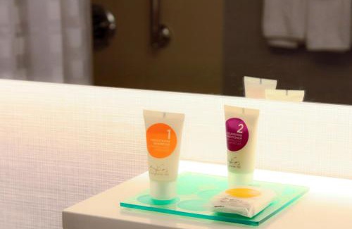 Hyde Park Hotel | Comfortable Stay at Hyatt Place Chicago-South/University