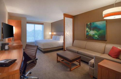 Durham Hotel | Discover Hyatt Place Durham Southpoint: Pet-Friendly Retreat