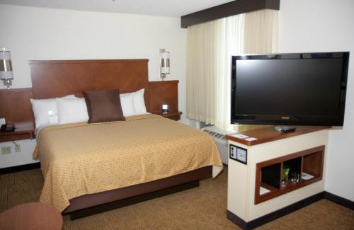 The Forum Hotel | Pet-Friendly Hyatt Place Fort Myers with Pool & Ocean Views