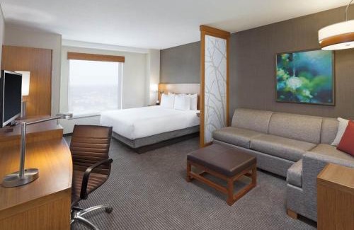 Isla Grande Hotel | Pet-Friendly Hyatt Place San Juan with Oceanfront Views