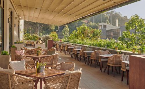 Kirkos Hotel | Discover Hyatt Regency Addis Ababa: Pet-Friendly Retreat