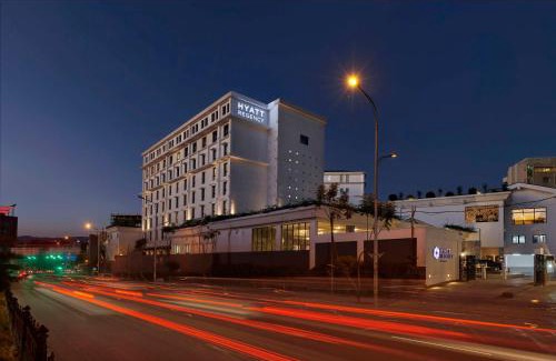 Kirkos Hotel | Discover Hyatt Regency Addis Ababa: Pet-Friendly Retreat