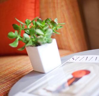 Irvine Business Complex Hotel | Pet-Friendly Retreat at Hyatt Regency Irvine with Pool Access