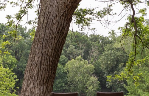 Lost Pines Resort | Escape to Hyatt Regency Lost Pines Resort and Spa
