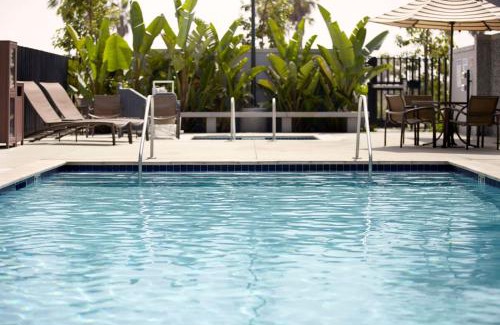 Woodvale Hotel | Pet-Friendly Retreat at Hyatt Place Richmond Chester