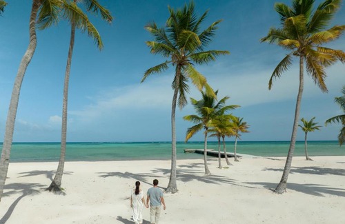 Punta Cana Resort | Indulge at Hyatt Zilara Cap Cana - Adults Only Paradise