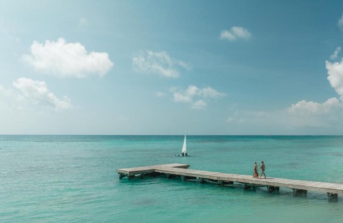 Punta Cana Resort | Indulge at Hyatt Zilara Cap Cana - Adults Only Paradise