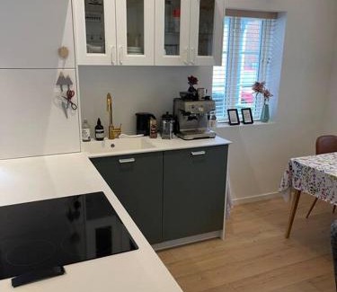 Ringkobing Villa | Cozy Townhouse Between the Harbor and City Square