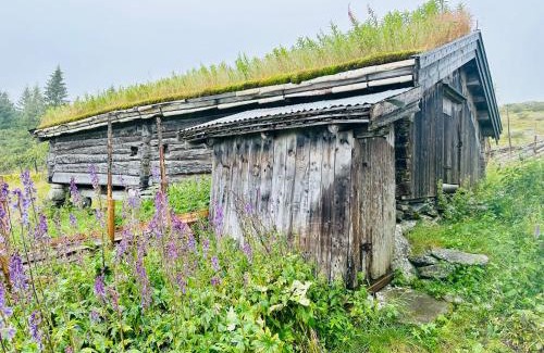 Gausdal House | Idyllic Cabin Retreat: Family and Pet-Friendly Getaway
