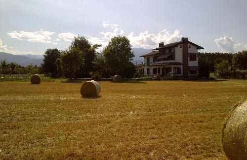 Cavour Bed & Breakfast | Discover I 99 Ulivi: Pet-Friendly Retreat with Breakfast