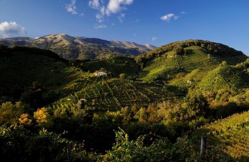 Cison di Valmarino Apartment | Discover the Hidden Gardens at Villa Marcello Marinelli