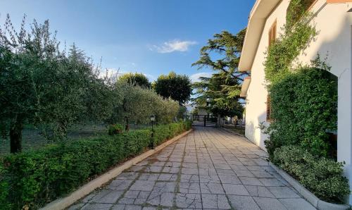 Casalbordino House | Discover I Tigli: Guest Rated 9.7, Pet & Child Friendly